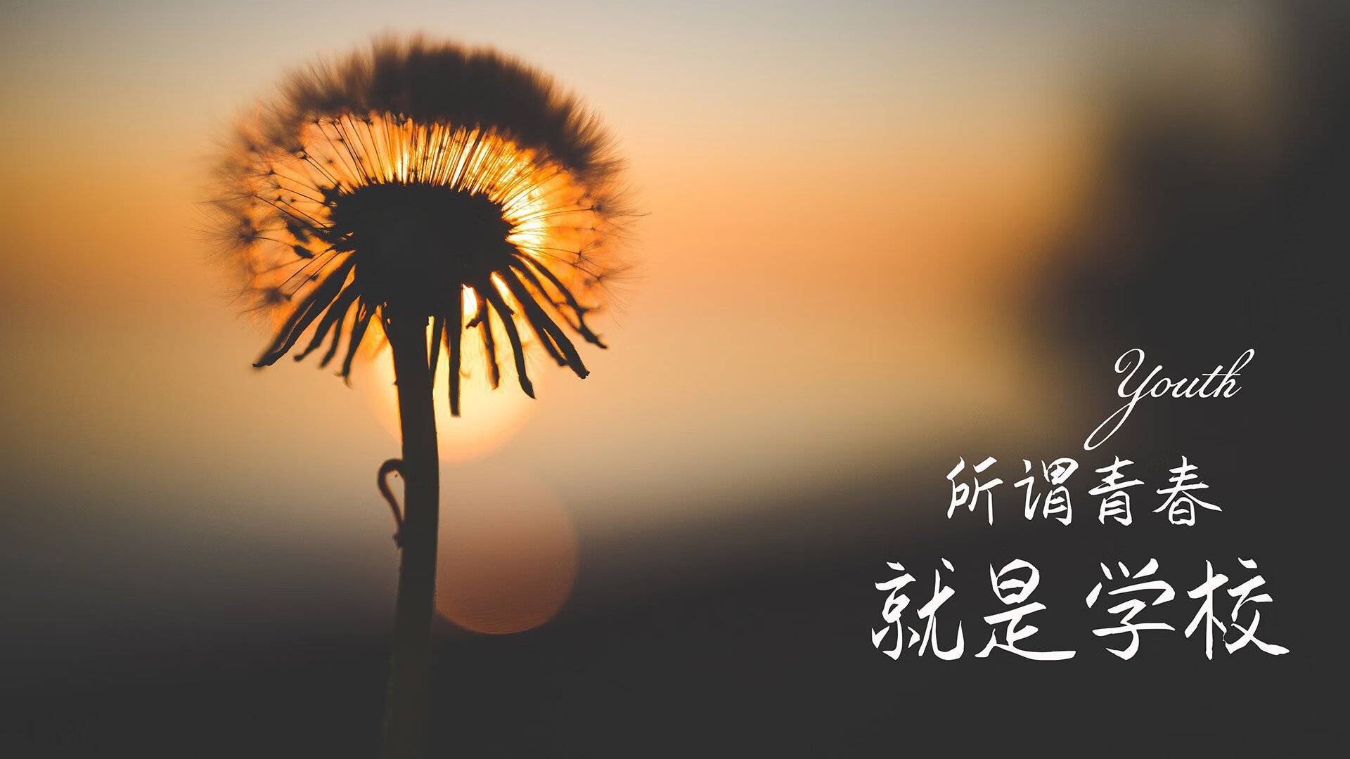 AC米兰-小胜都灵，继续领跑积分榜，ac米兰成绩