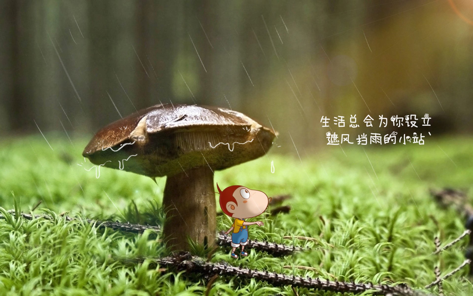 im体育app官网-韩国全民健康意识显著提升，韩国全民健身