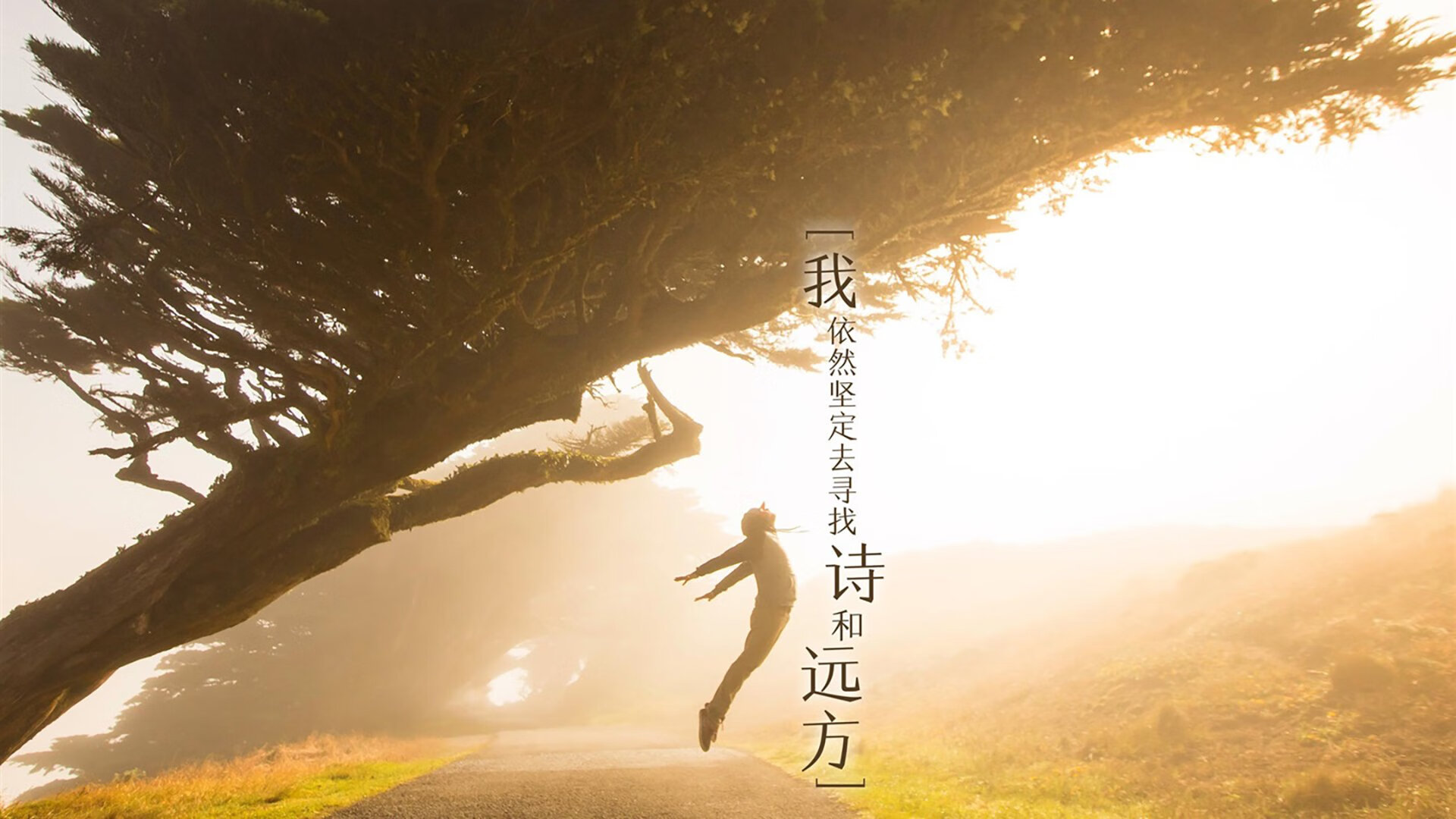 IM体育平台-明星运动员积极参与社会公益，运动员明星化利大于弊