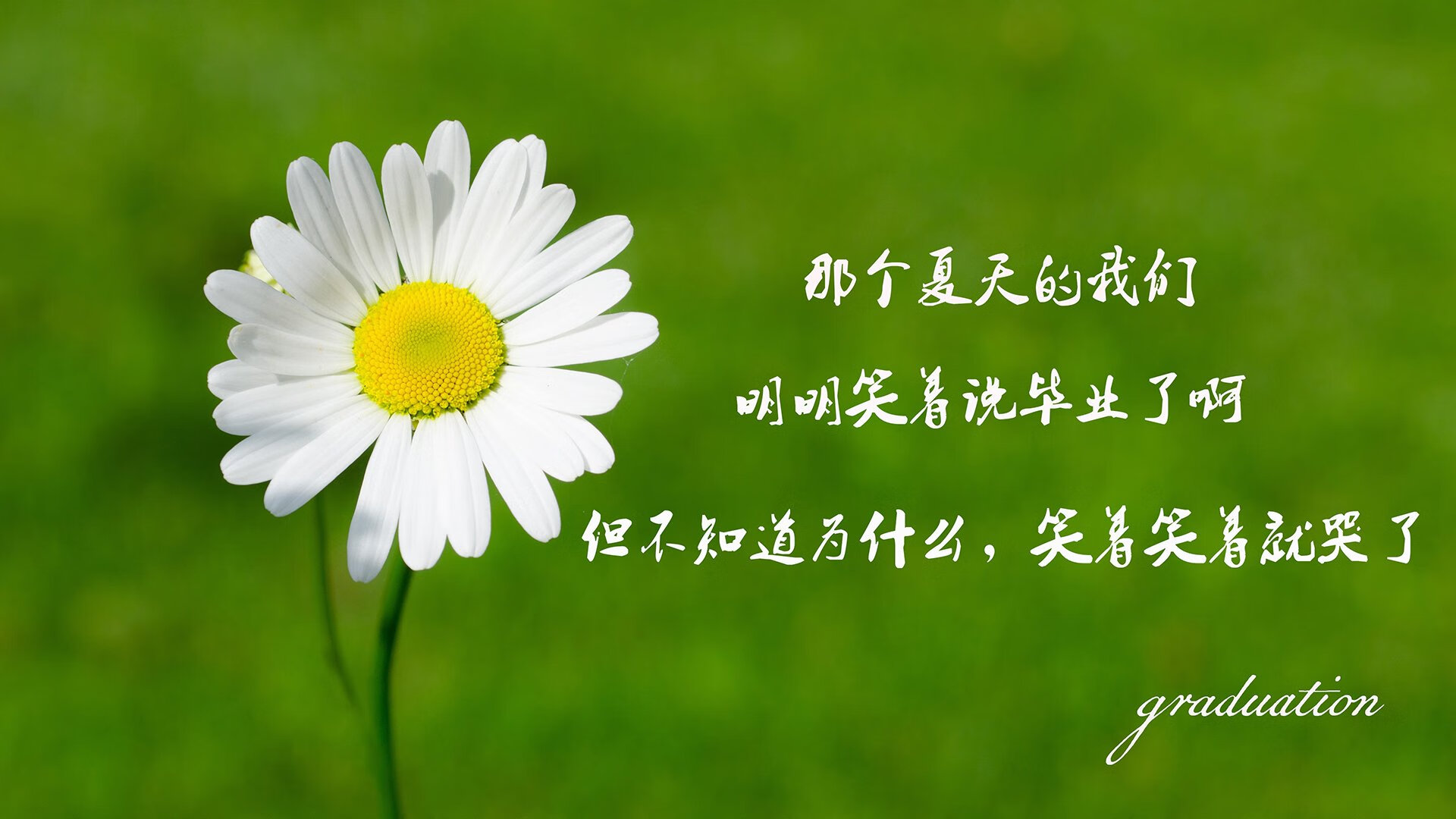 IM体育 APP下载地址-海湾者青年才俊或成比赛黑马，海湾集团创始人是谁