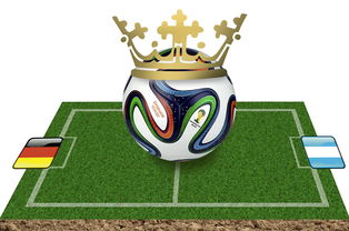 im体育官方登录-爱尔兰橄榄球青训体系吸引全球目光，爱尔兰橄榄球联赛