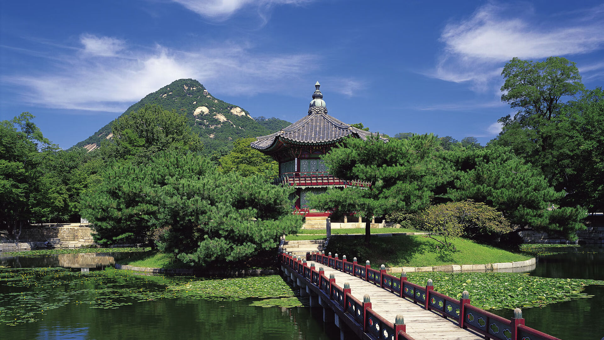 里根·史密斯用速度与耐力完美结合，里根史密斯仰泳