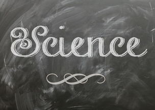 im体育app官方下载-麦考领袖风范：全黑队胜利的灵魂人物，麦考3个总冠军